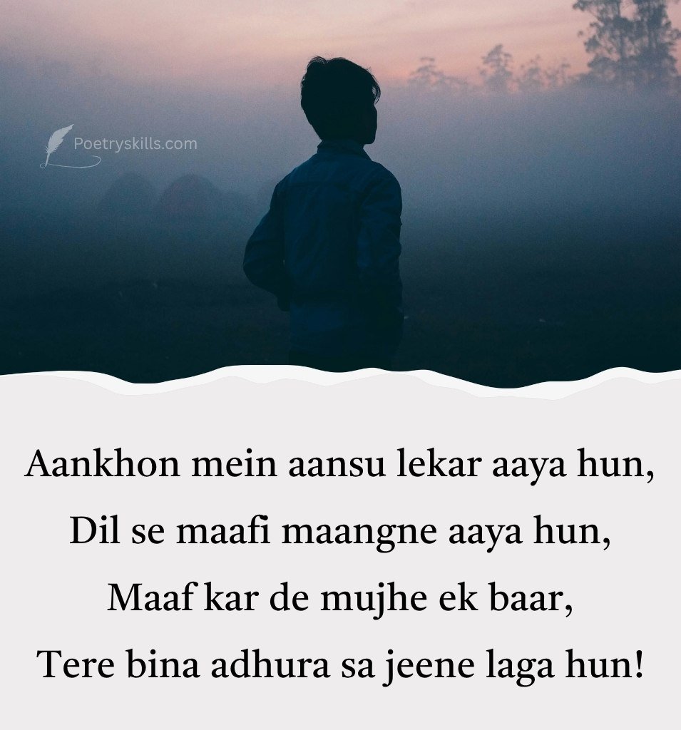 Apologize Sorry Shayari for Love