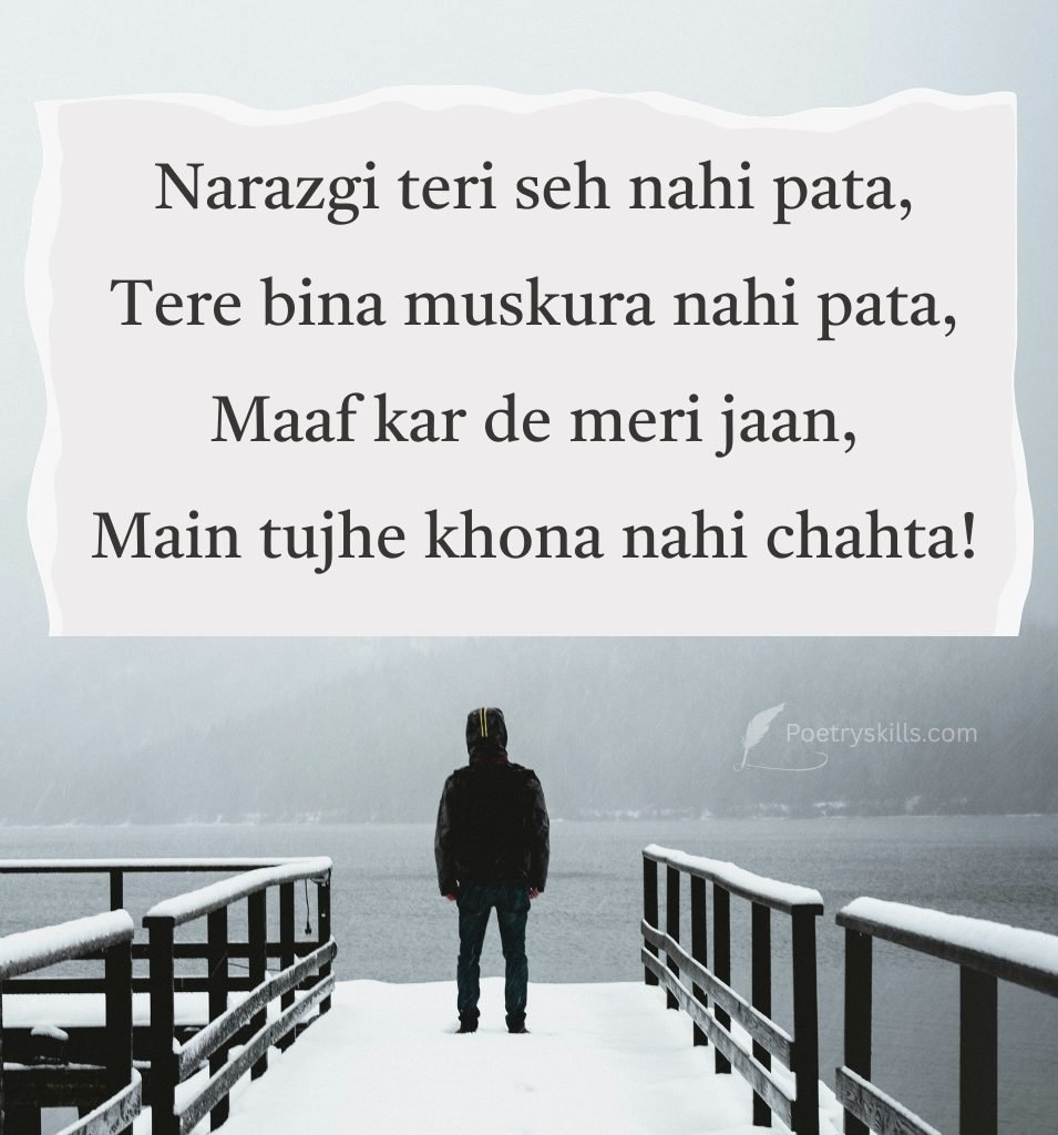 Apologize Shayari