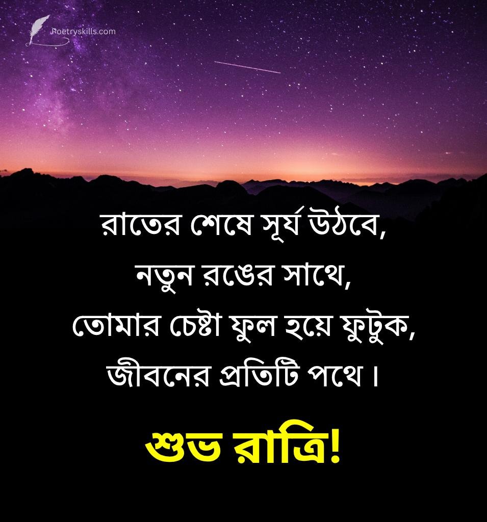 Bangla Good Night Shayari