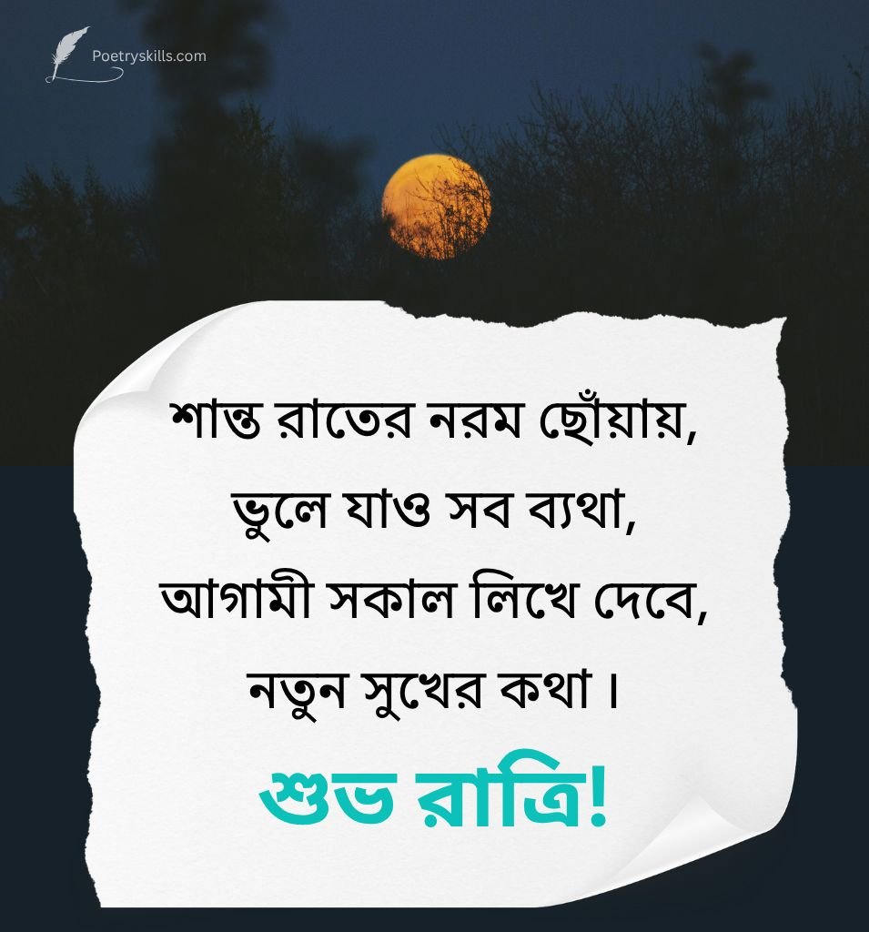 Bangla Good Night Wishes For Friend