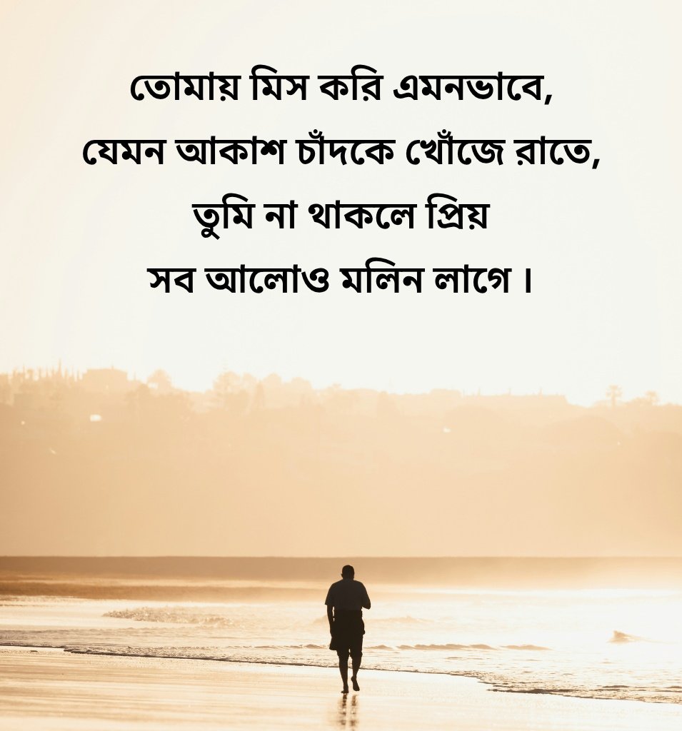 Romantic Heart Touching Bangla Miss You Quotes