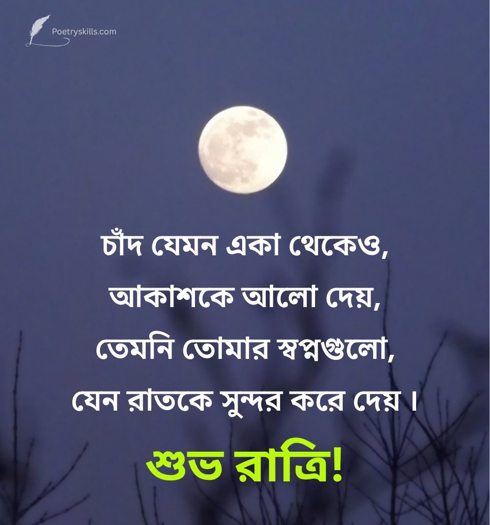 Bangla Good Night Shayari for Friend with Full Moon
