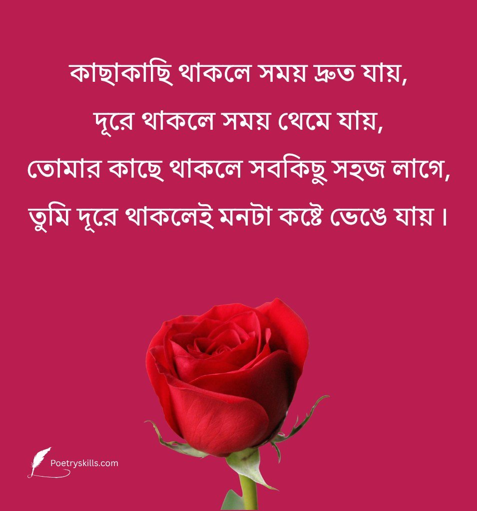 Love Love Shayari Bengali with Rose