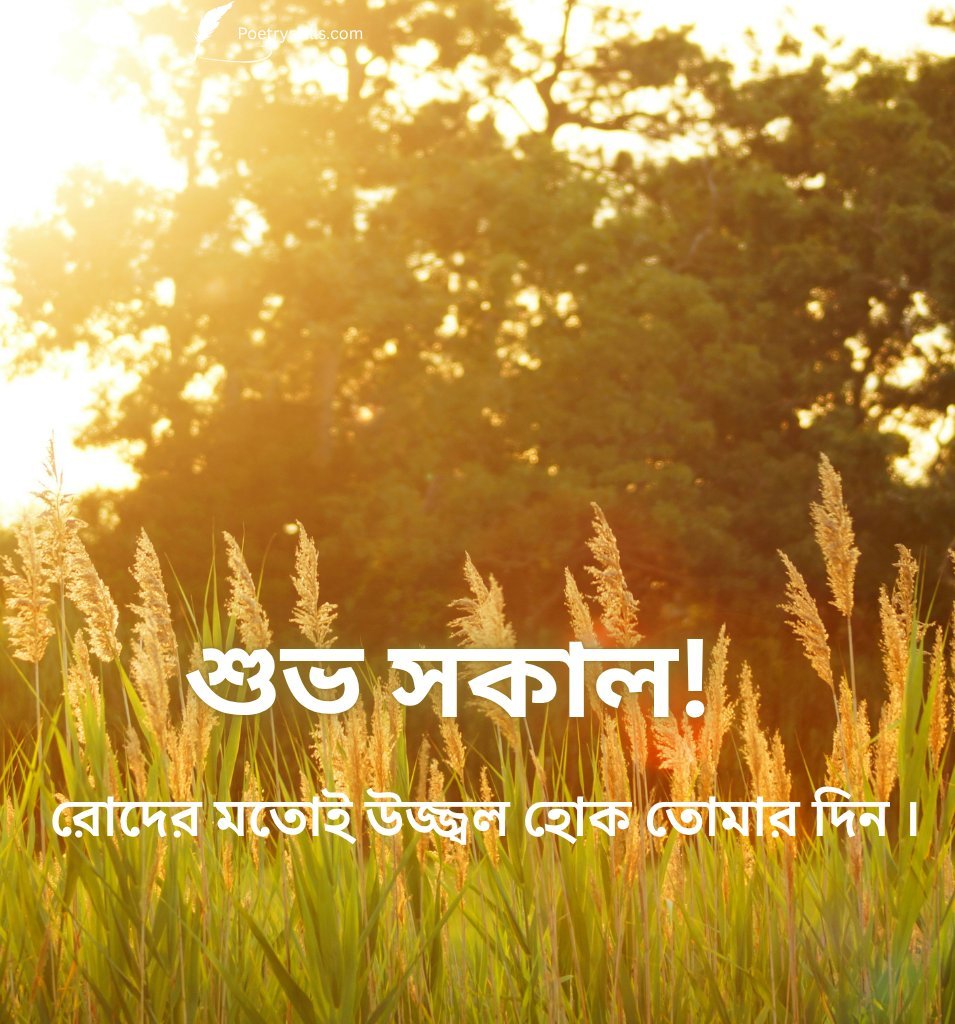 Heart Touching Summer Good Morning Wishes In Bengali