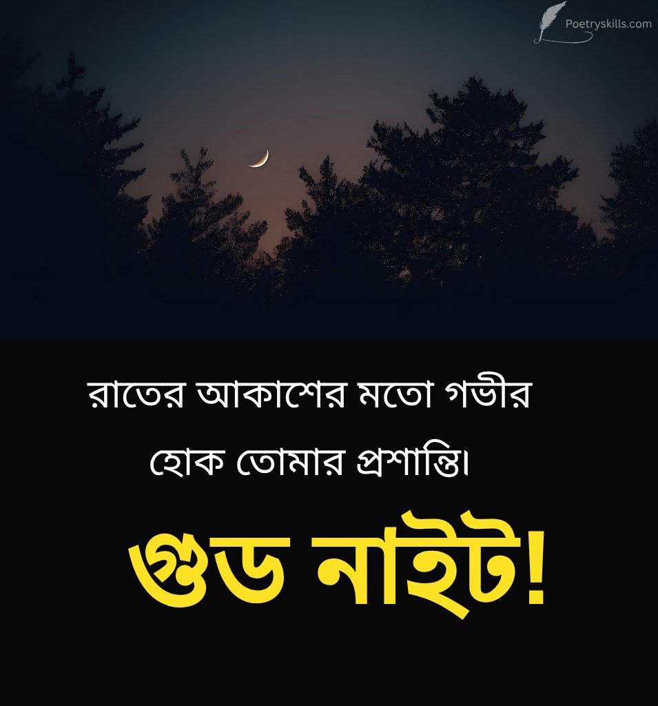 Bengali Good Night Pics For Status