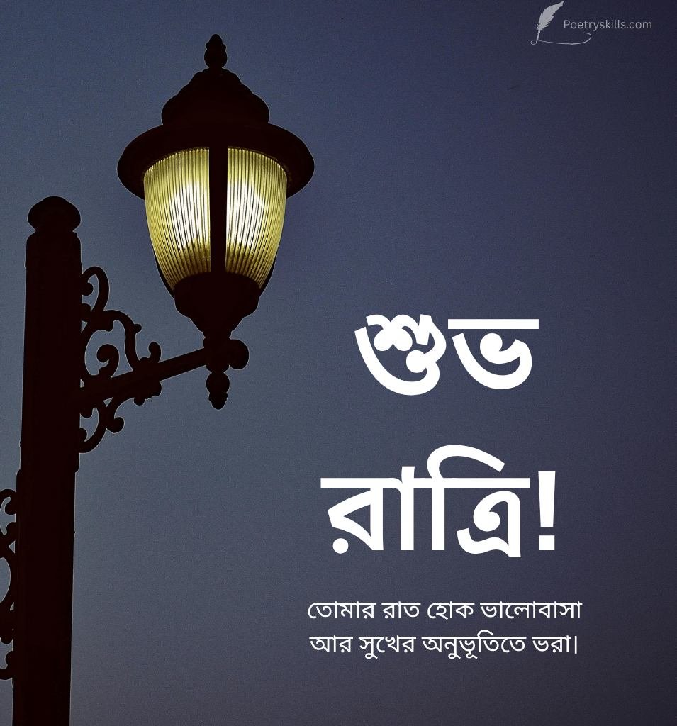 Bengali Good Night SMS Pics For Status