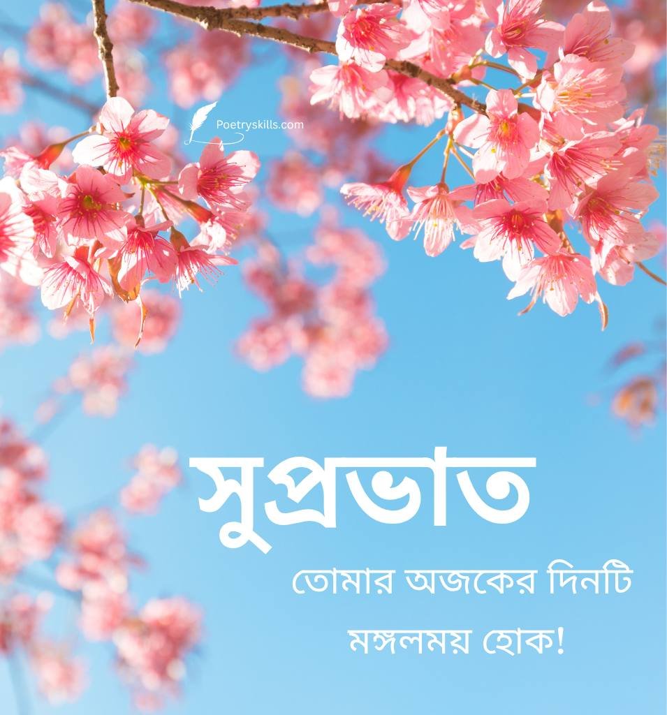 Bengali Subho Sokal Images for Status
