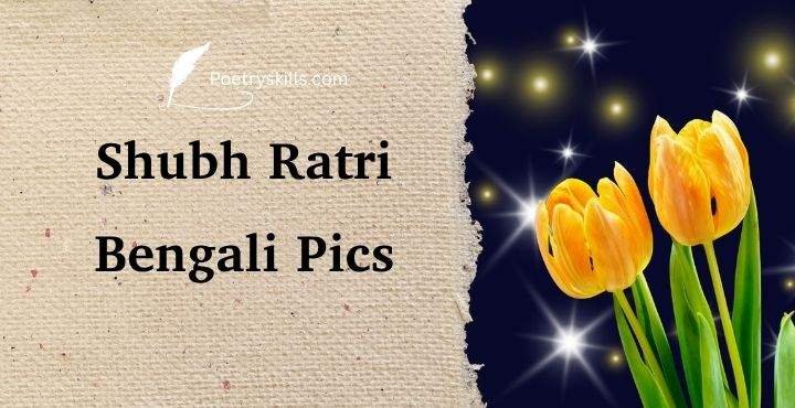Shubh ratri good night Bengali pics