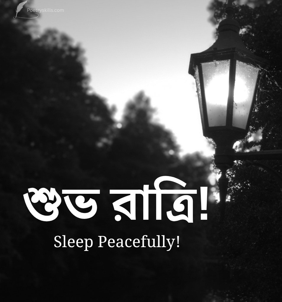 Bengali Good Night Pics For Status