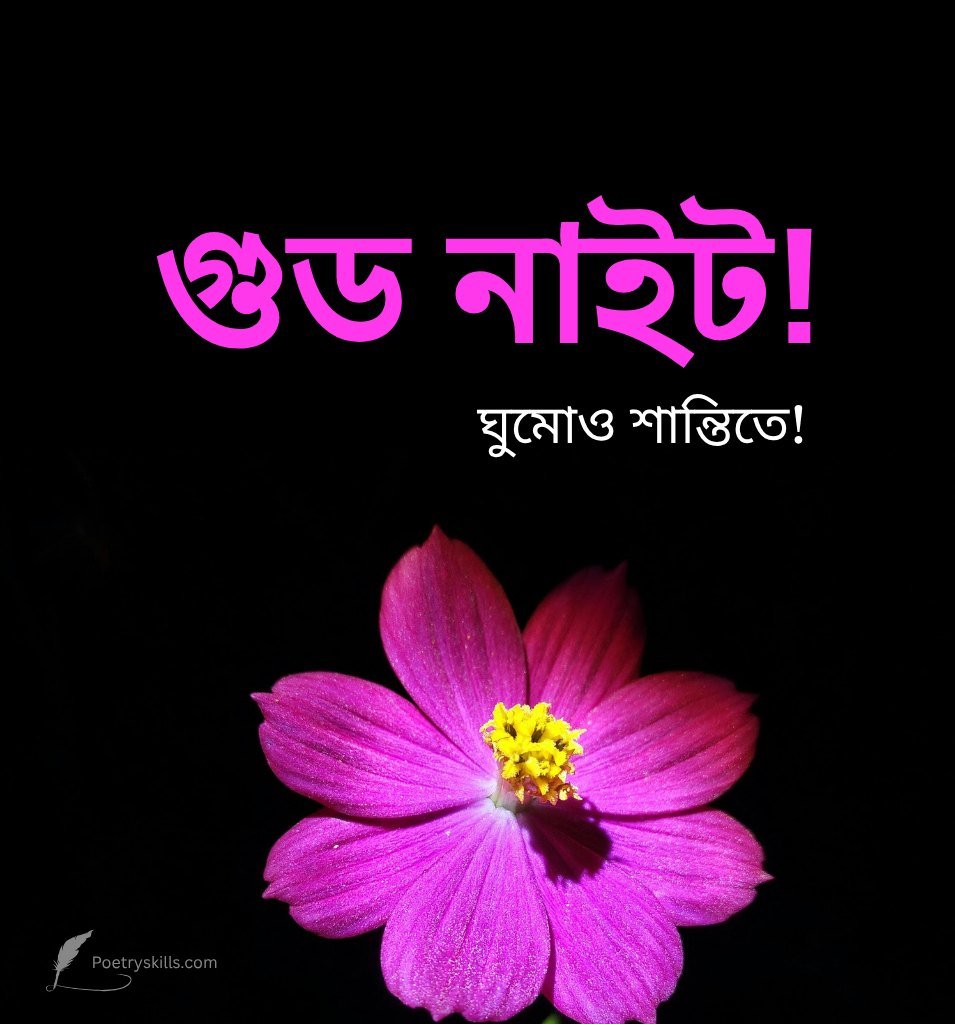 Good Night Bengali Greetings Images with Flower
