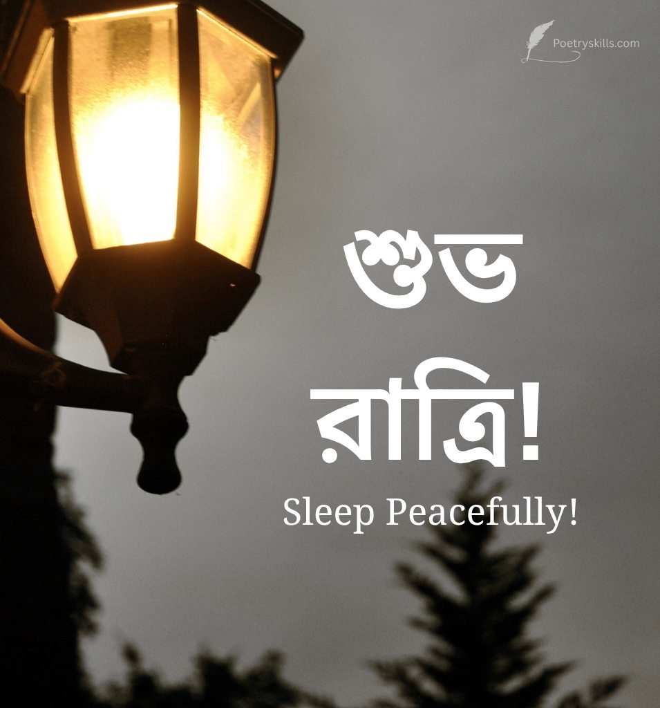 Bengali Good Night Status Images