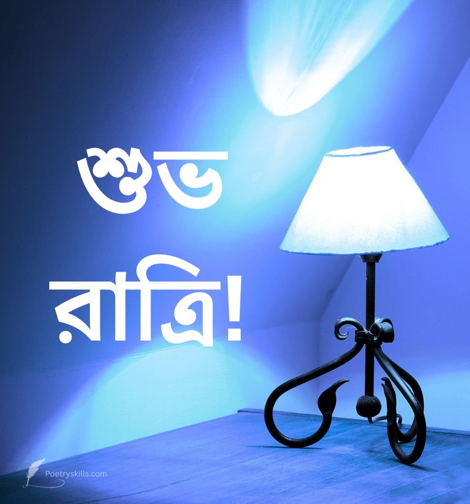 Unique Bengali Good Night Pics For Status