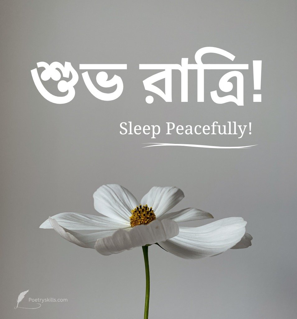 Simple Bangla Good Night Greetings