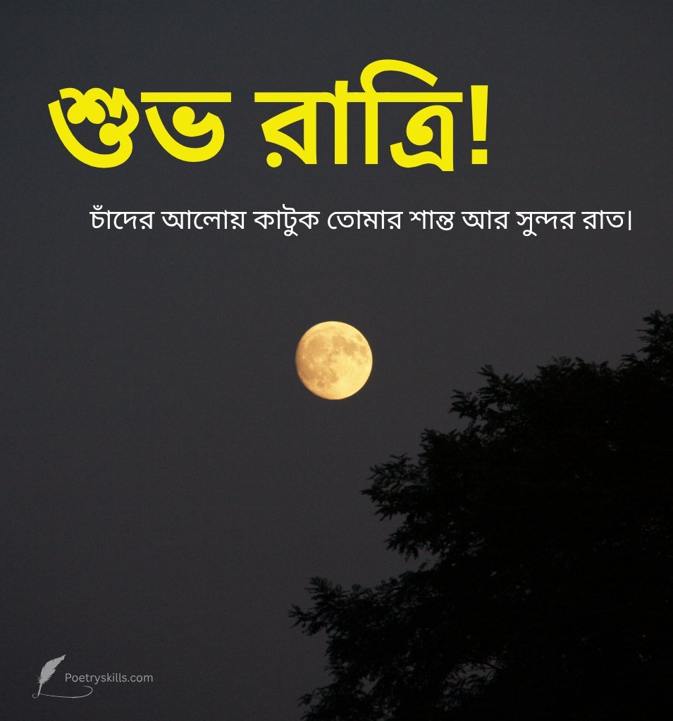 Shubh Ratri Images In Bengali with Moon
