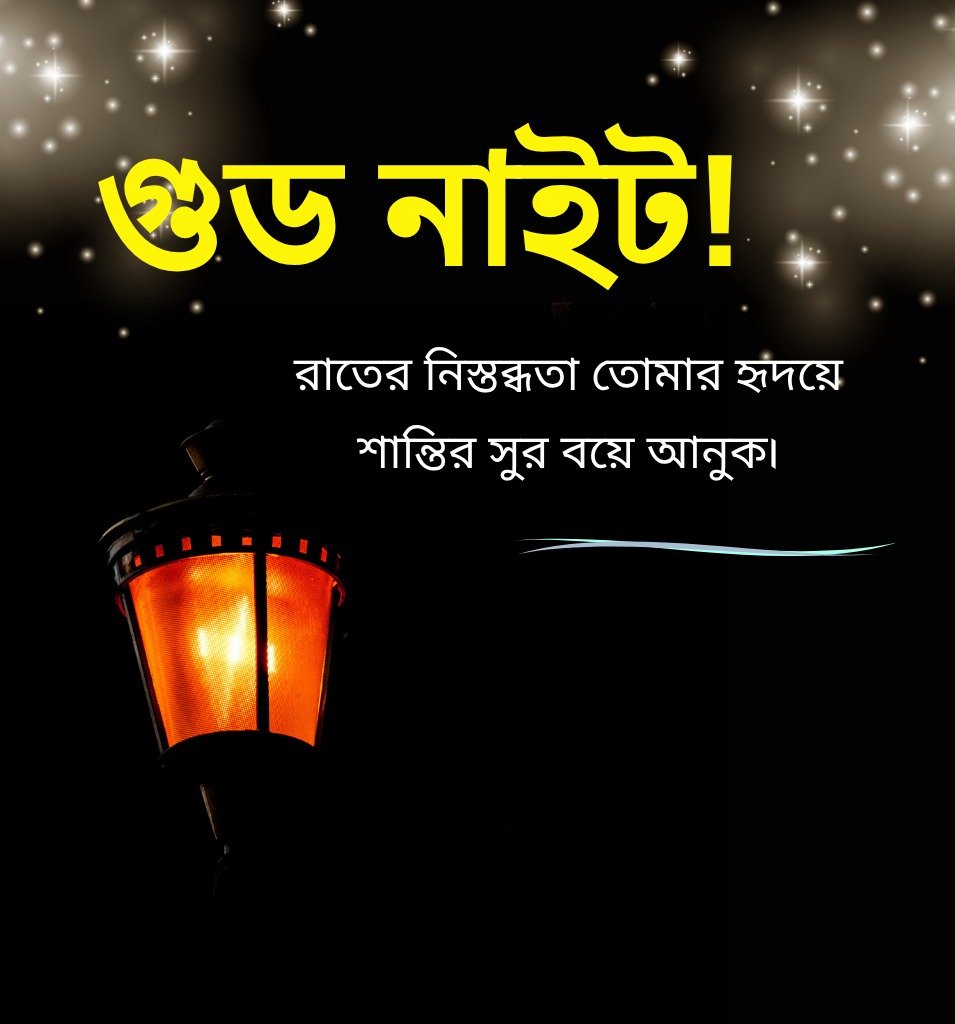 Inspirational Good Night Photo With Bangla Greetings