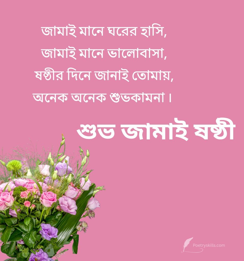 Bengali Jamai Sasthi Instagram Caption