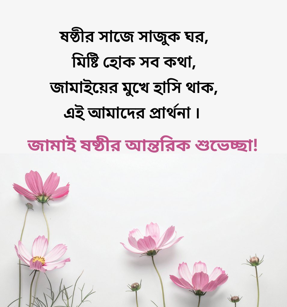 Happy Jamai Sasthi Shayari Bengali