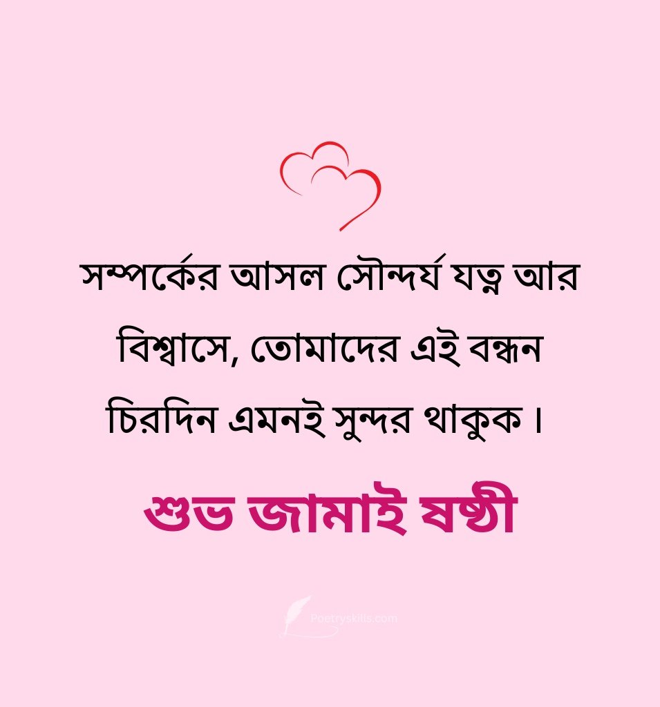 Heart Touching Happy Jamai Sasthi Status Bengali