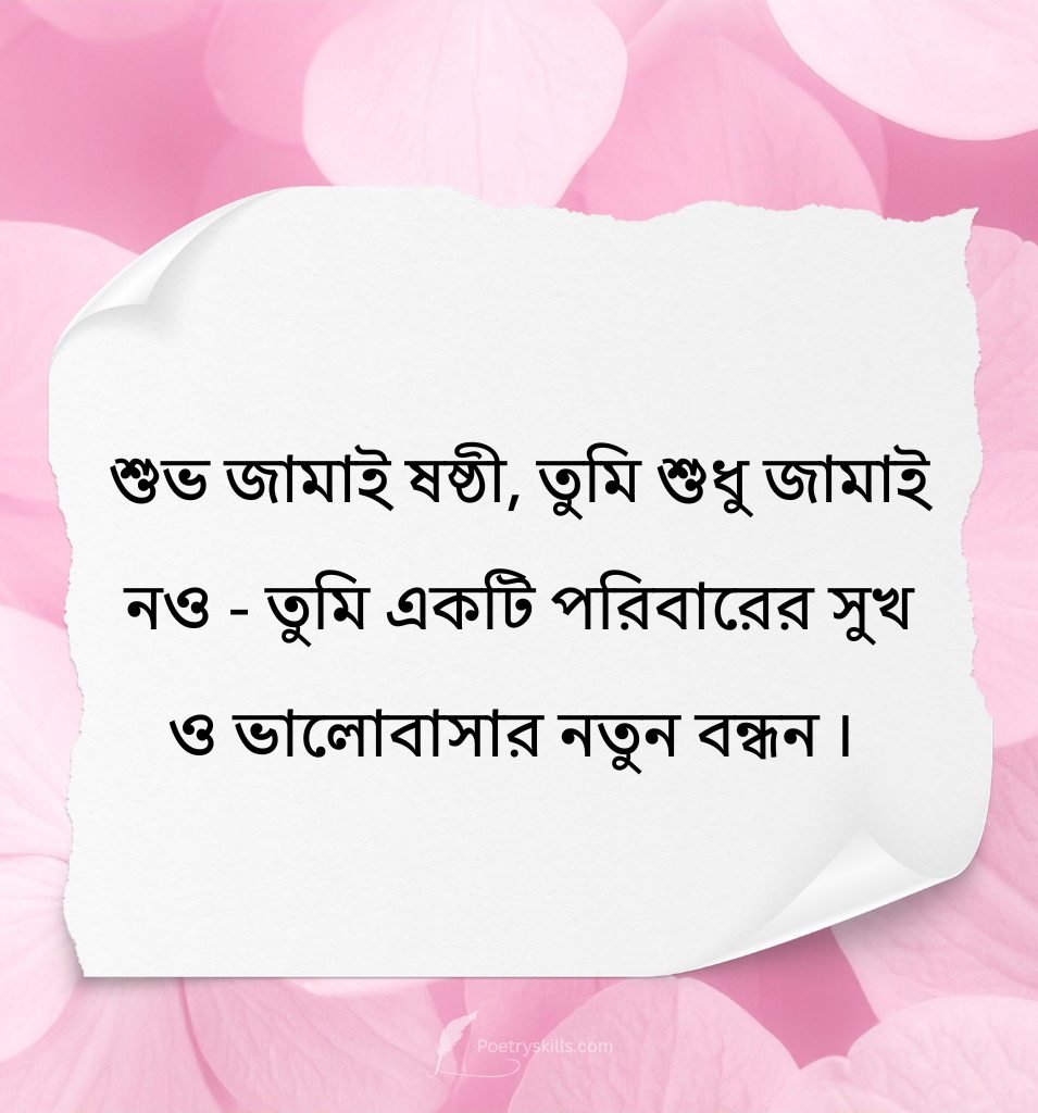 Emotional Happy Jamai Sasthi Status In Bengali