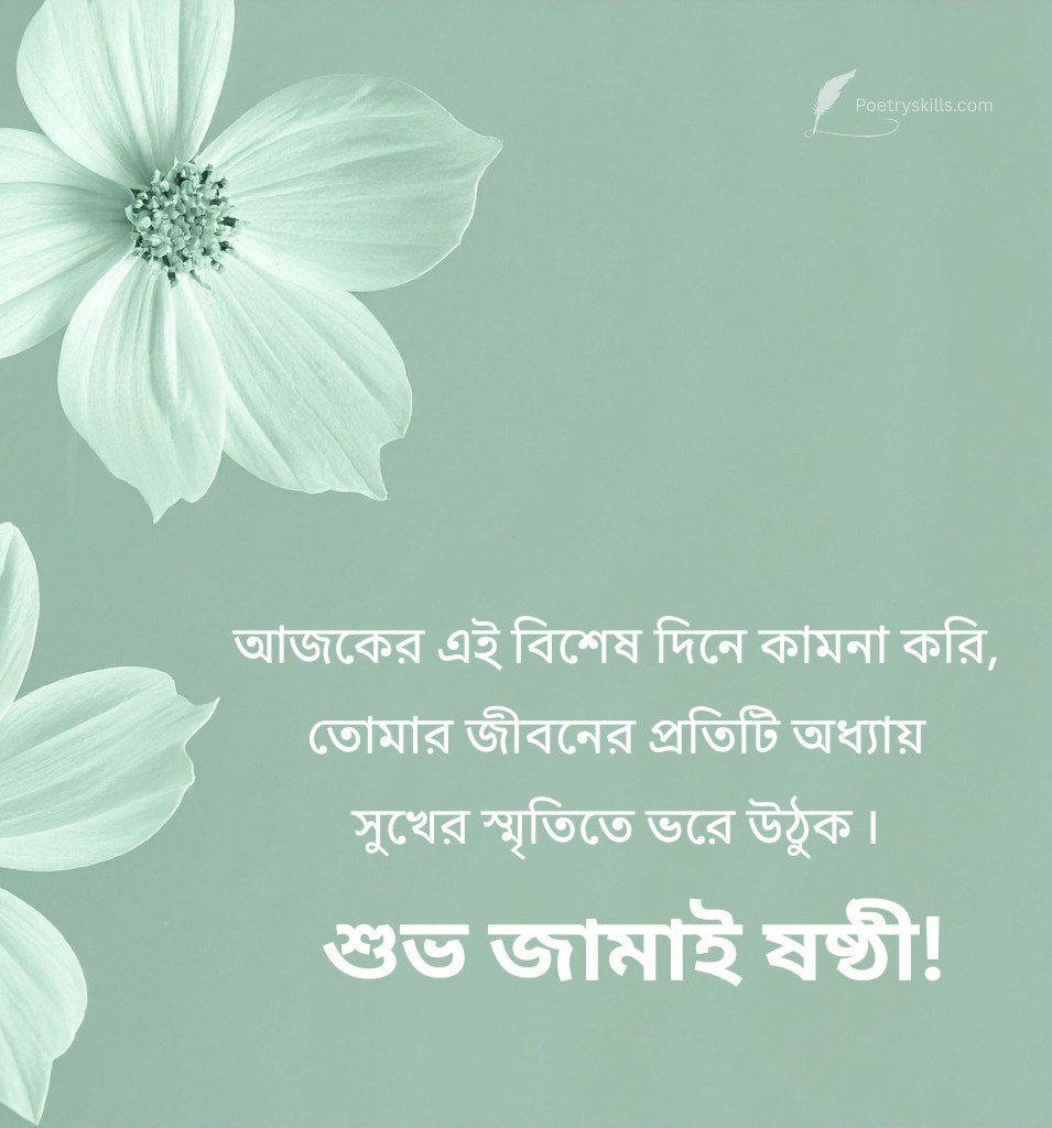 Heart Touching Bengali Jamai Sasthi Wishes
