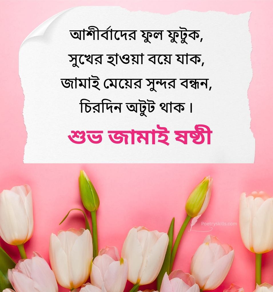 Best Jamai Sasthi Wishes in Bengali