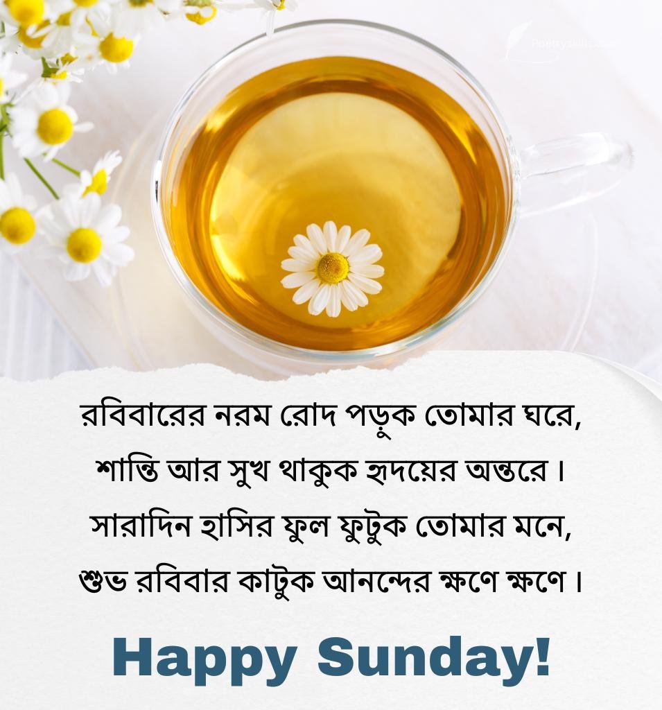 Bengali Shub Robibar Wishes for Status